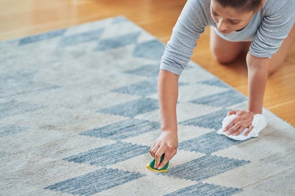 How to Clean Heavily Soiled Carpet? Dino System